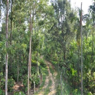 Homestay In Chikmagalur, Chikmaglur 2